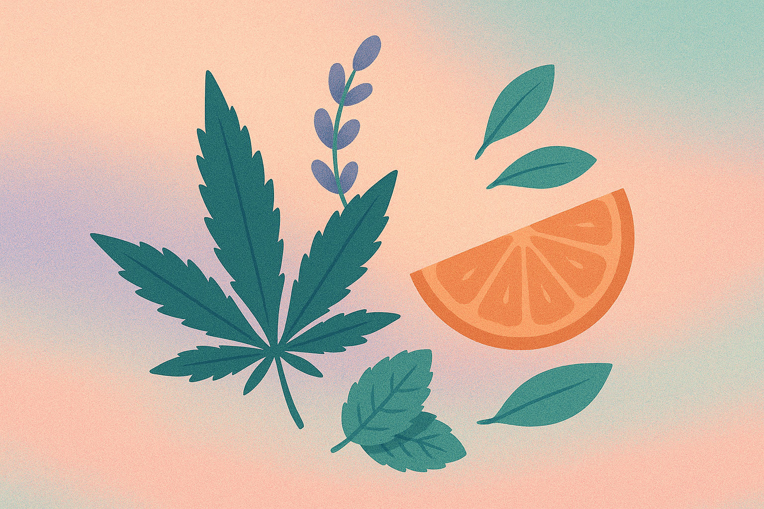 The Truth About Terpenes: What They Are and Why They Matter Image